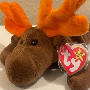 Ty Beanie Babies - Chocolate the Moose